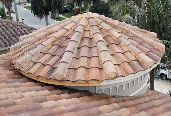 Roof Cleaning Soft wash
